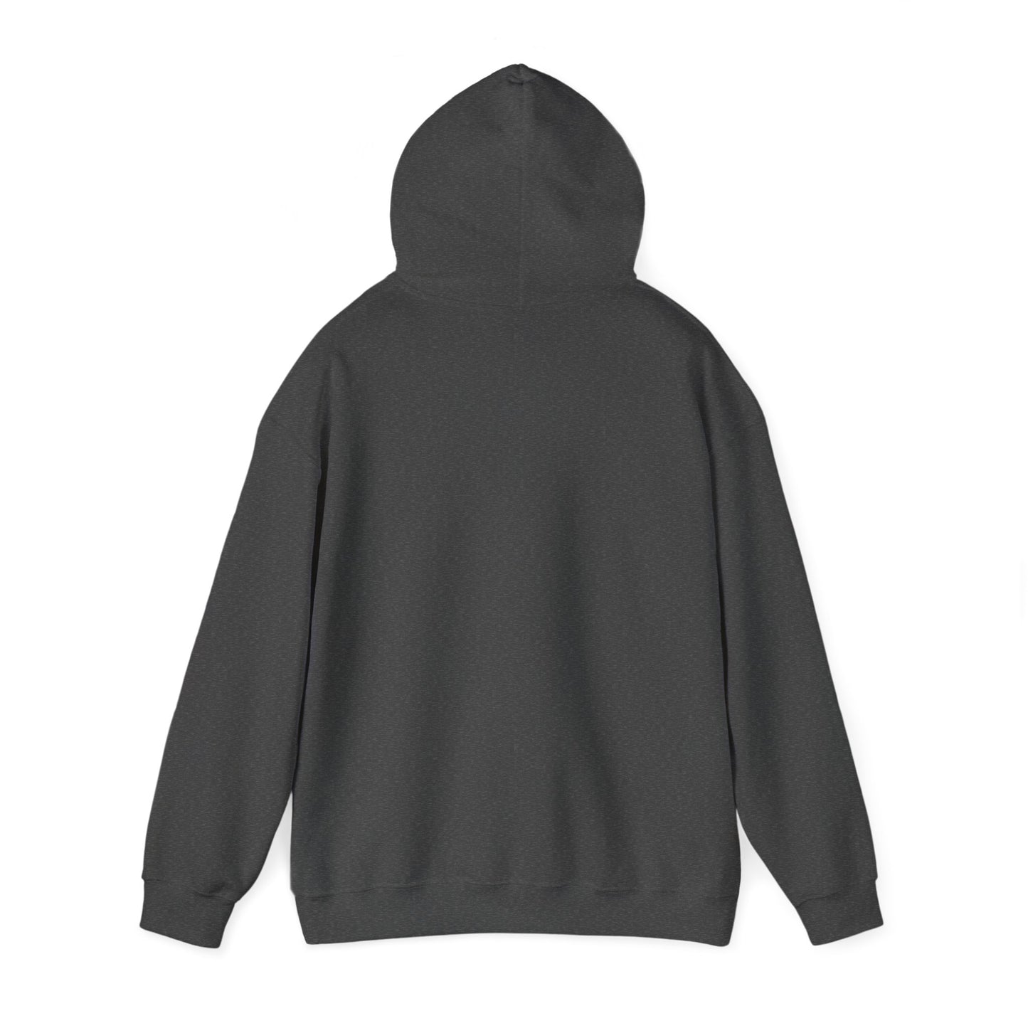 Newtown Swag Unisex Heavy Blend™ Hooded Sweatshirt
